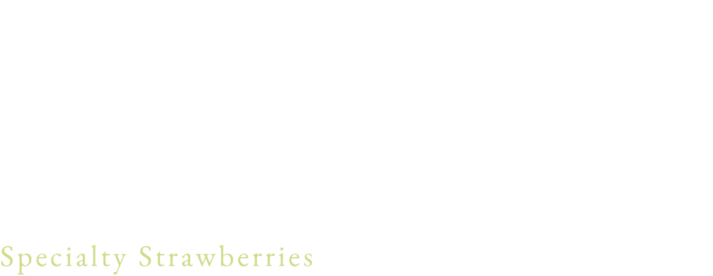 愛情を込めて作ったこだわりのひと粒